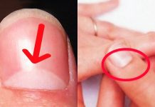 10 Amazing Facts About Your Body