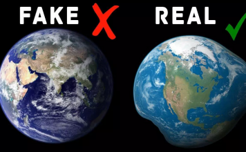 10 Shocking Facts You Wish Weren’t True