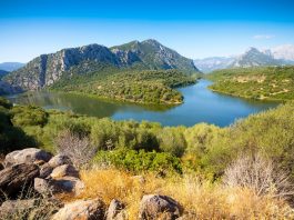 10 Interesting Facts About Lake Coghinas