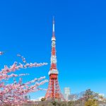 Tokyo Tower 4