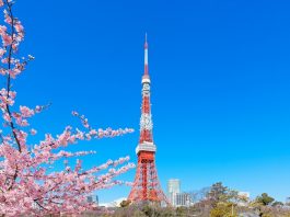 Top 10 Interesting Facts About Tokyo Tower