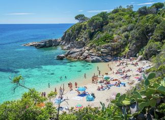 Top Interesting Facts About Elba Island