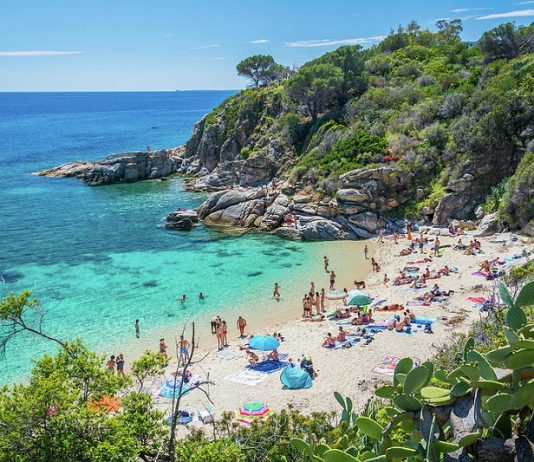 Top Interesting Facts About Elba Island