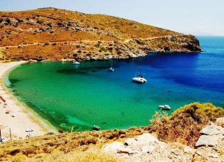 Top 10 Interesting Facts about Kea