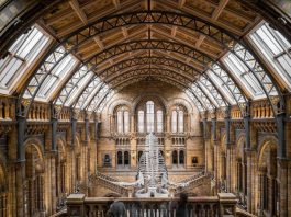 Top 10 Interesting Facts about the British Museum