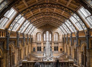 Top 10 Interesting Facts about the British Museum