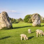 Avebury 8