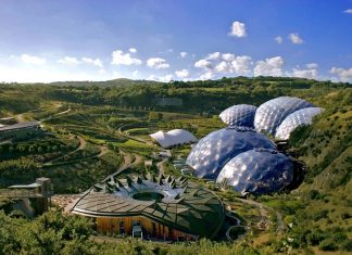 Top 10 Interesting Facts about the Eden Project