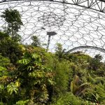 the Eden Project 5