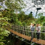 the Eden Project 6