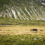 Monti Della Laga National Park 2