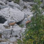 Monti Della Laga National Park 3