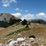 Pollino National Park 3