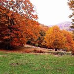 Pollino National Park 4