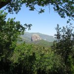 Aspromonte National Park 9