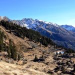 Stelvio National Park 4