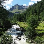 Stelvio National Park 5