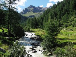 Top 10 Interesting Facts About Stelvio National Park