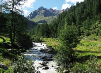 Top 10 Interesting Facts About Stelvio National Park