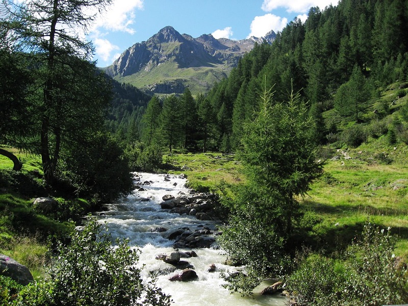 Stelvio National Park 5