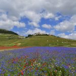 Castelluccio 2