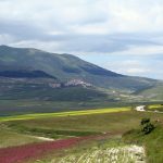 Castelluccio 4