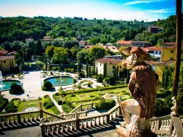 Top Interesting Facts about Collodi Singe savant admirant le paysage