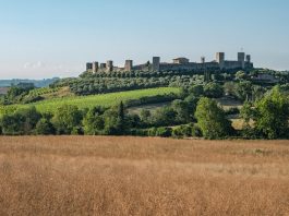 Little Knowns Facts About Monteriggioni