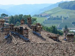 Little Known Facts About Neive