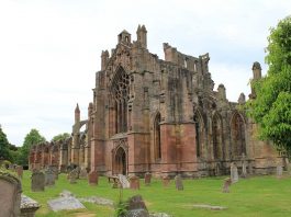 Top Interesting Facts About Melrose