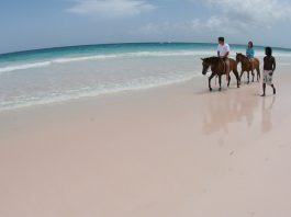 Top Interesting Facts About Pacentro