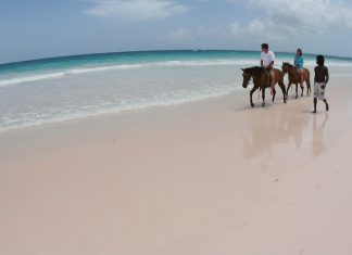 Top Interesting Facts About Pacentro