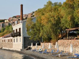 Top Interesting Facts About Mithymna