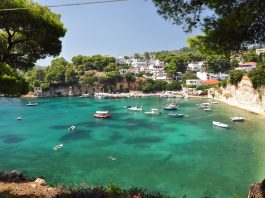 Top Interesting Facts about Alonnisos