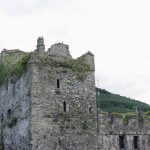 Carlingford 4