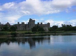 Top Interesting Facts About Cong