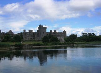 Top Interesting Facts About Cong