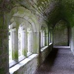 Cloisters at Augustinian Friary in Adare (now a Church of Ireland church).