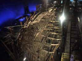 Top Interesting Facts About Mary Rose