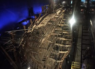 Top Interesting Facts About Mary Rose