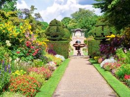 Top Interesting Facts About Nymans Garden