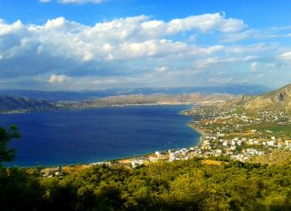 Top Interesting Facts About Salamina