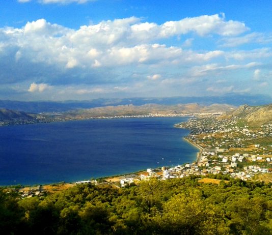Top Interesting Facts About Salamina
