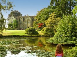 Top Interesting Facts about Wakehurst