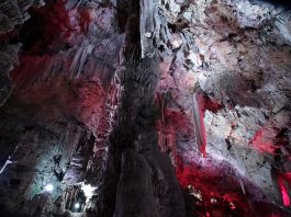Top Interesting Facts about Gorham’s Cave Complex