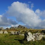 Dartmoor National Park 2