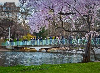 Top Interesting Facts About St James’s Park