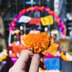 day-of-the-dead-2021