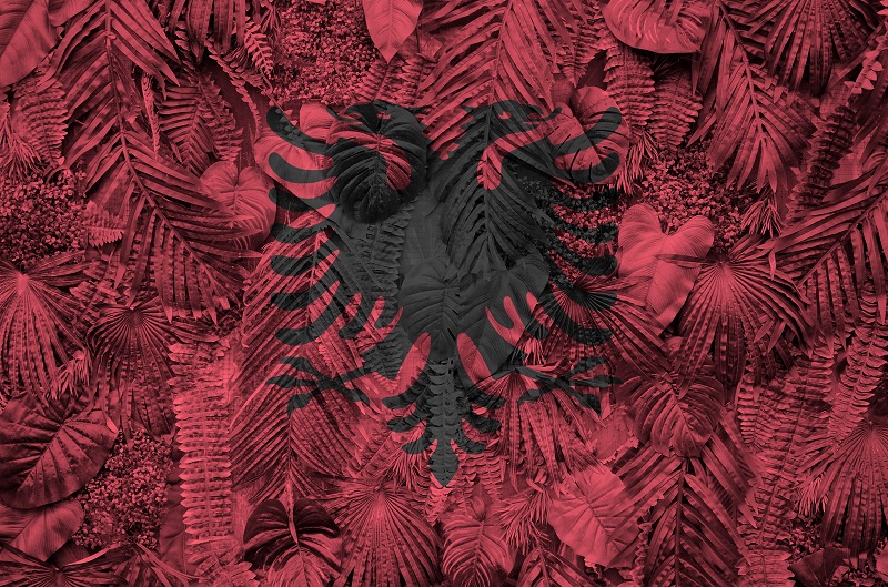 Albania flag depicted on many leafs of monstera palm trees. Trendy fashionable backdrop
