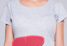 10 Top Interesting Facts About the Human Body partial view of woman with paper made human liver on grey background